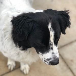 Meet your Posher, Jamie